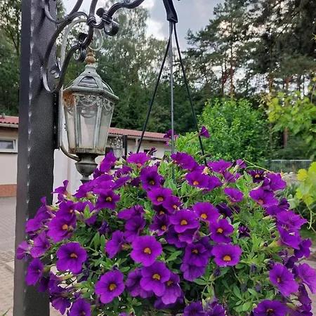 Waldesruh Apartament